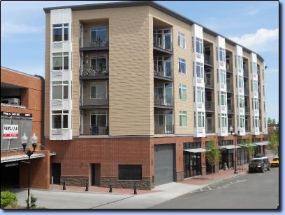 business-window-cleaning